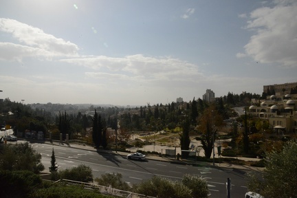 View out of Jaffa Gate - Bloomfield Gardens